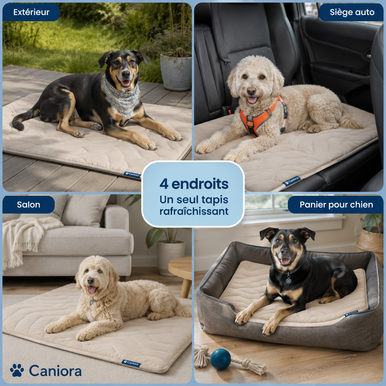 CanioraChill™ - Le tapis rafraîchissant innovant pour chiens