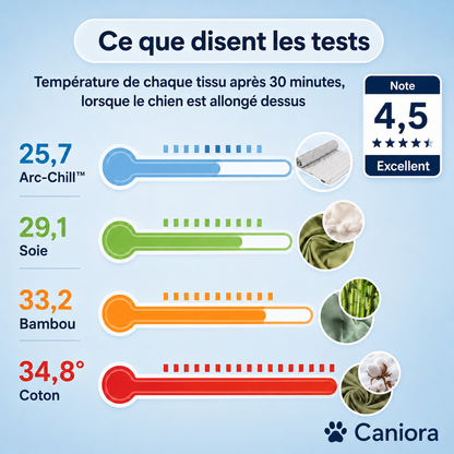CanioraChill™ - Le tapis rafraîchissant innovant pour chiens