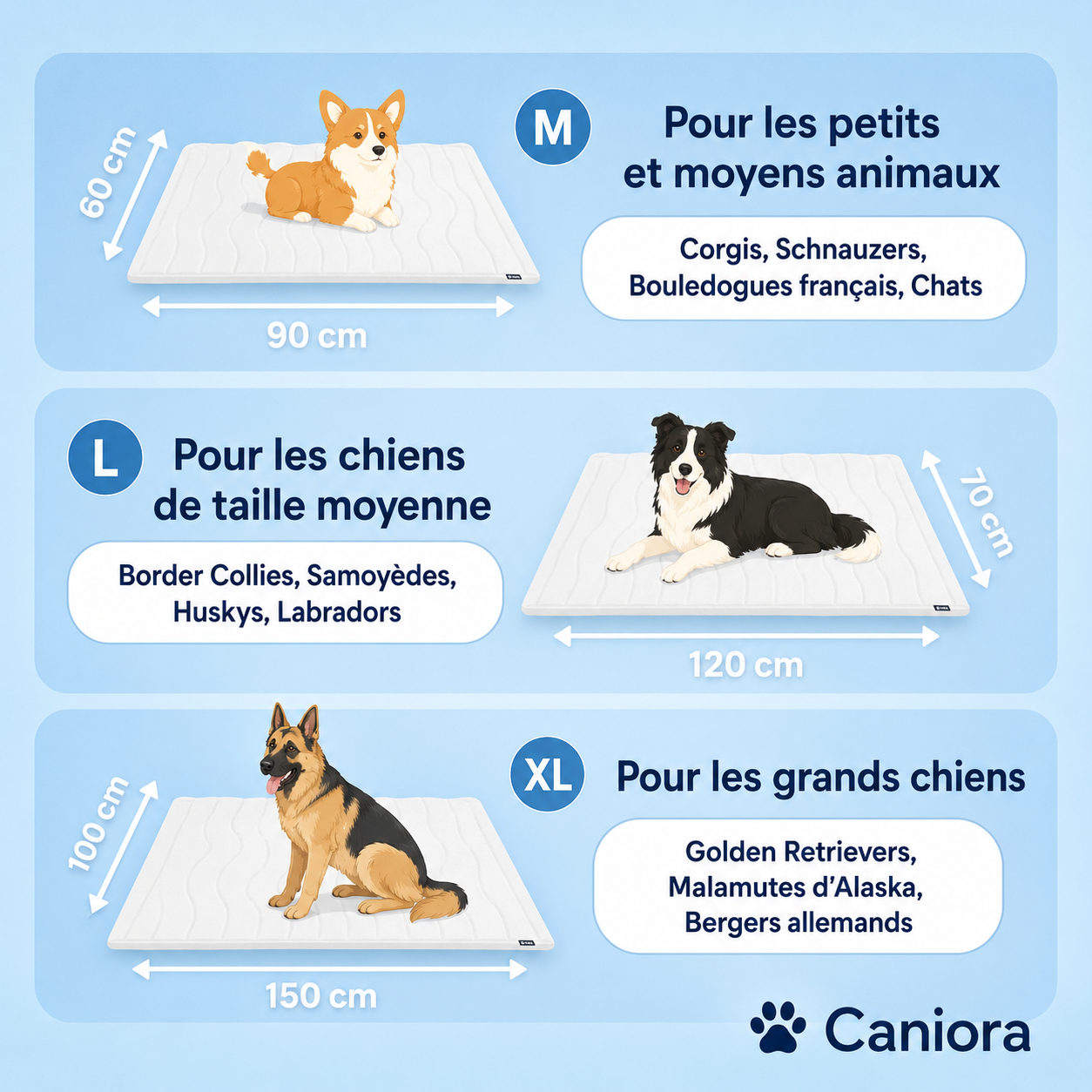 CanioraChill™ - Le tapis rafraîchissant innovant pour chiens