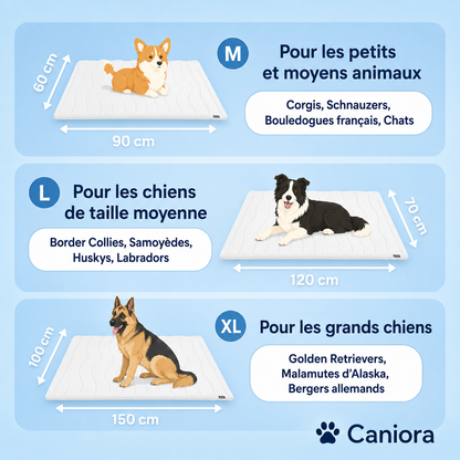CanioraChill™ - Le tapis rafraîchissant innovant pour chiens
