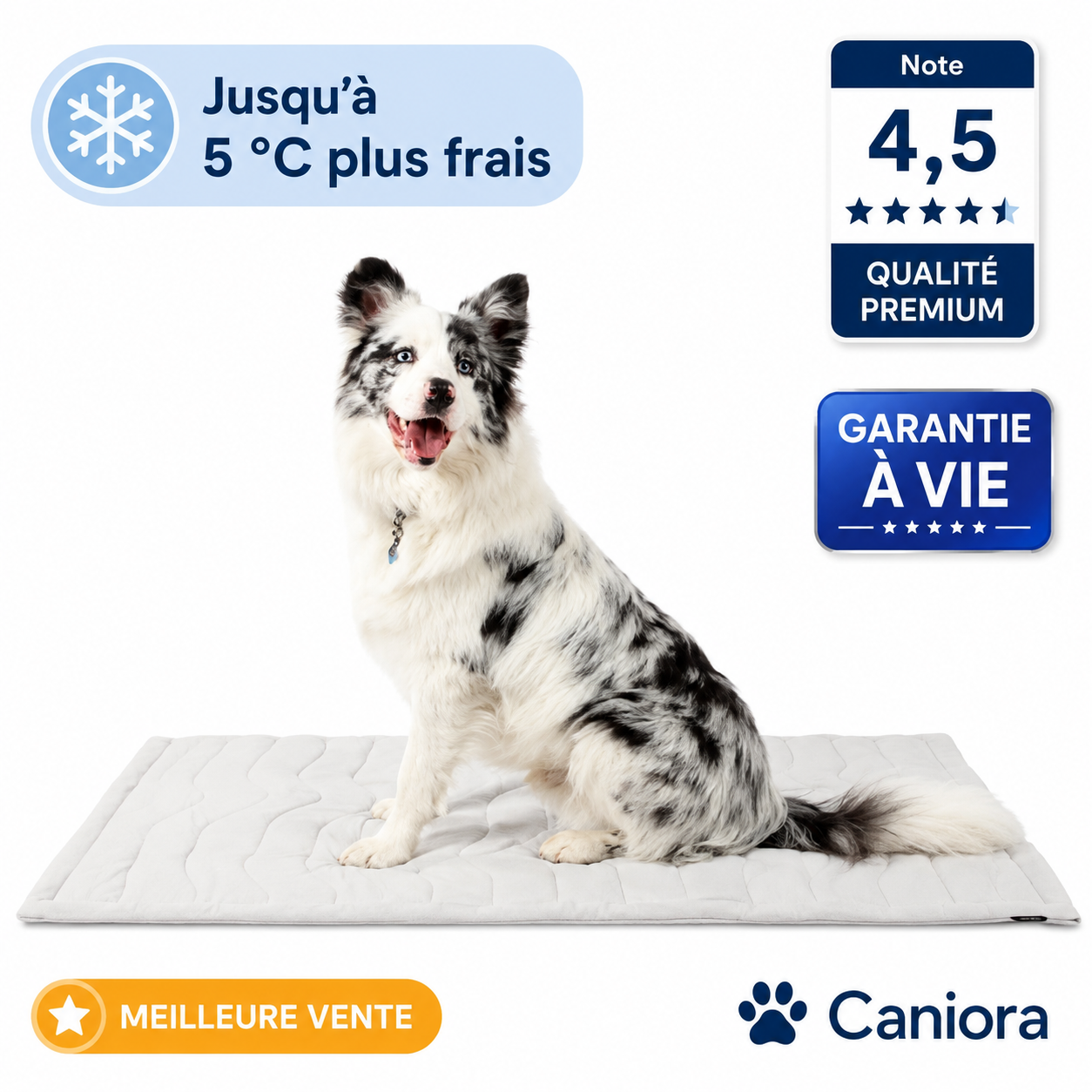 CanioraChill™ - Le tapis rafraîchissant innovant pour chiens