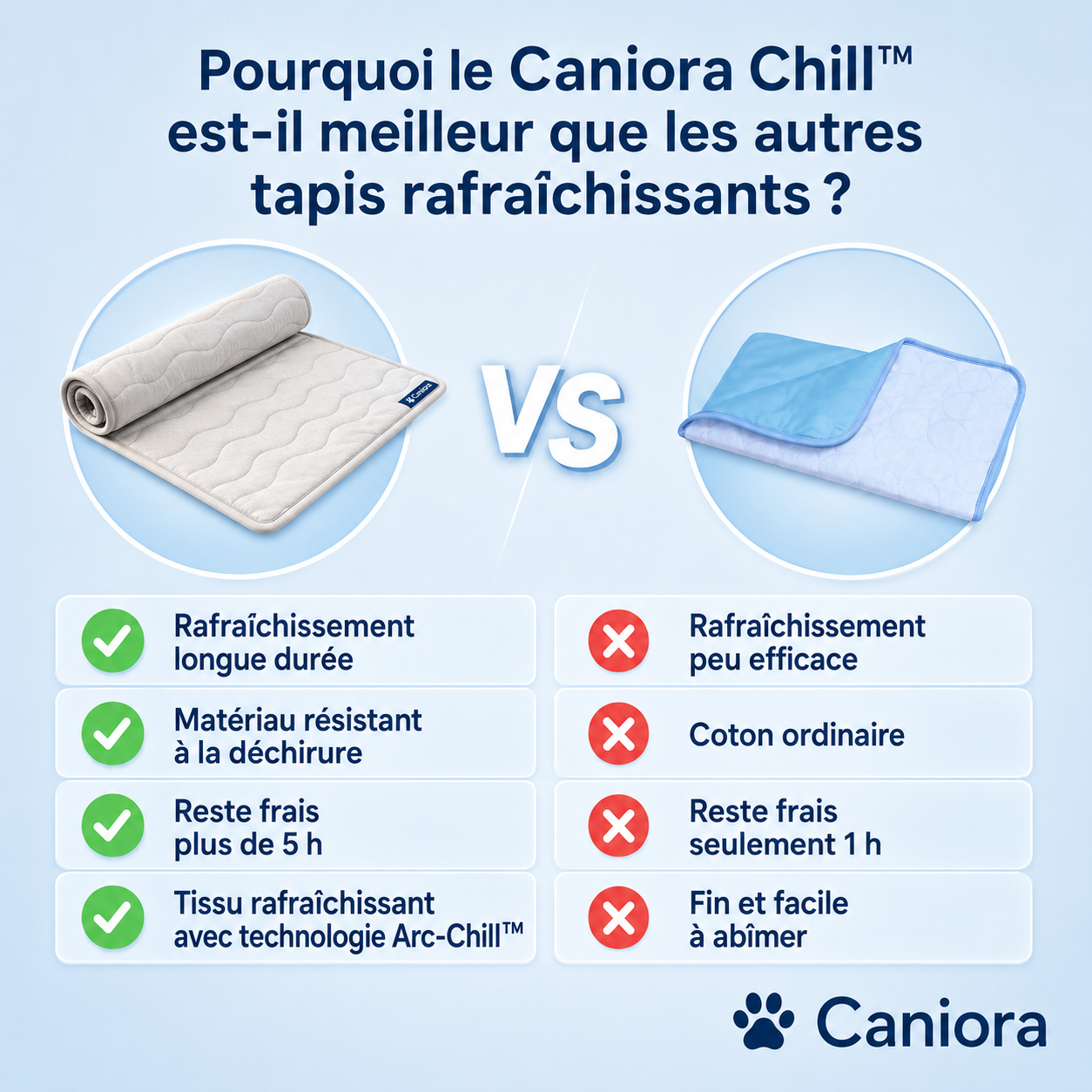 CanioraChill™ - Le tapis rafraîchissant innovant pour chiens