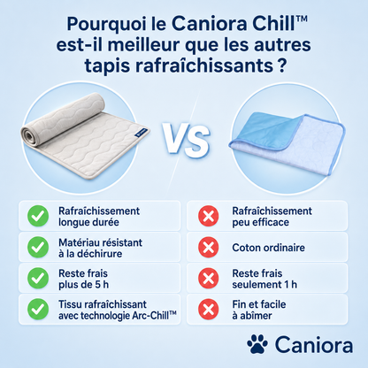 CanioraChill™ - Le tapis rafraîchissant innovant pour chiens