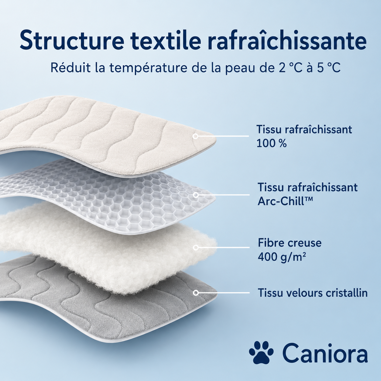 CanioraChill™ - Le tapis rafraîchissant innovant pour chiens