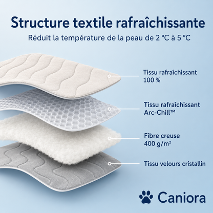 CanioraChill™ - Le tapis rafraîchissant innovant pour chiens