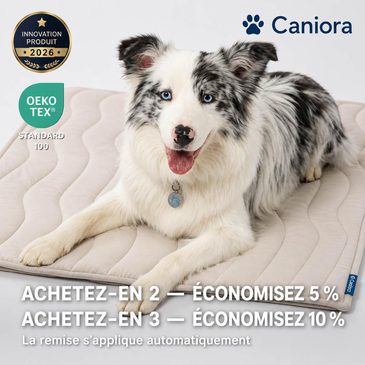CanioraChill™ - Le tapis rafraîchissant innovant pour chiens
