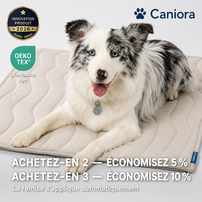 CanioraChill™ - Le tapis rafraîchissant innovant pour chiens