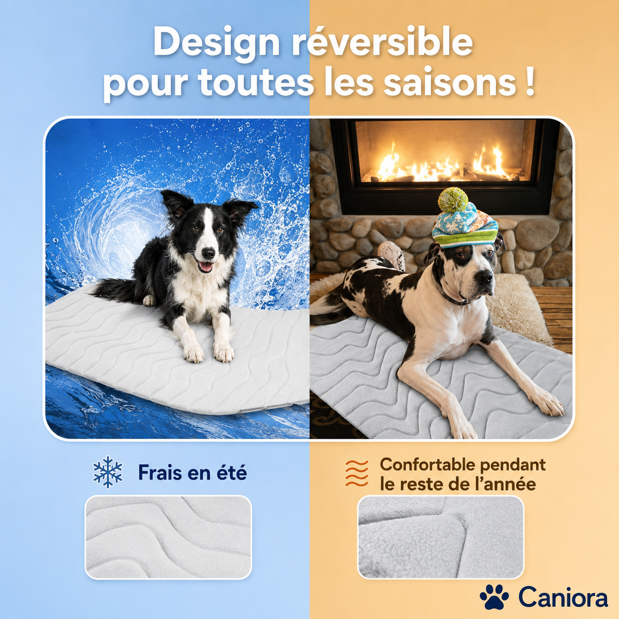 CanioraChill™ - Le tapis rafraîchissant innovant pour chiens